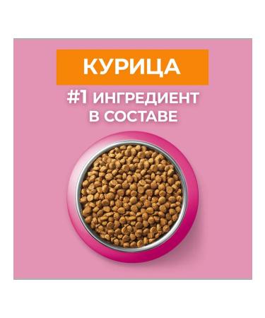 PURINA ONE Kittens dry with chicken 750g - Buy Online on GoSupps.com