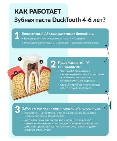 Ducktooth Children's toothpaste 4-6 years old Tutti-Frutti 12 pcs - Buy Online on GoSupps.com