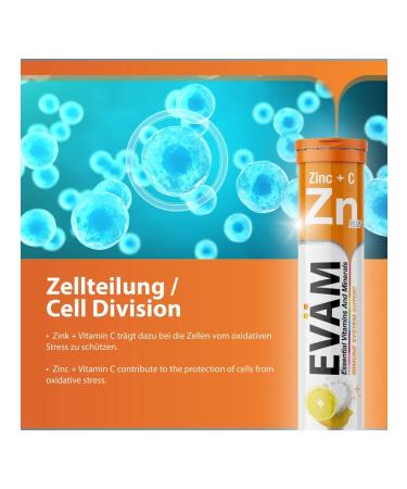 EVAM Sawing vitamins Zn with zinc and ascorbic acid 20 pcs - Buy Online on GoSupps.com