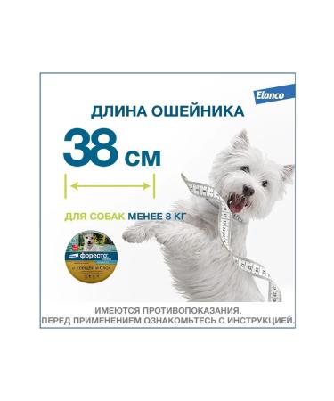 Elanco Foretrae collar for dogs less than 8 kg 38cm - Buy Online on GoSupps.com
