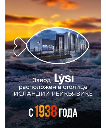 Fox Lysi Fish Fool 1+ Iceland Children's Mango-Citrus 240 ml - Buy Online on GoSupps.com