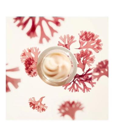 SHISEIDO Daily face cream smoothing wrinkles - Buy Online on GoSupps.com