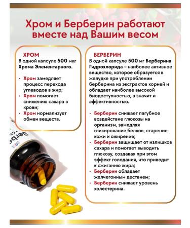 Energy Bio Systems Berberin with chrome 500 mg 60 capsules for weight loss - Buy Online on GoSupps.com