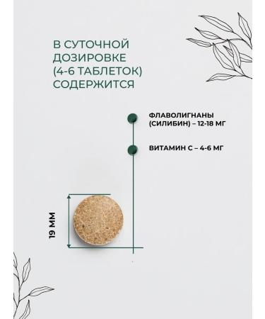 Parapharm Play -thistle tablets for the liver with rosehip - Buy Online on GoSupps.com