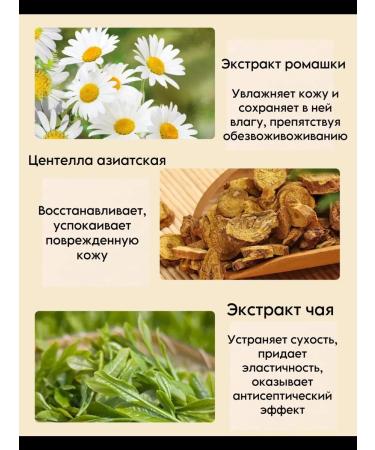 SKIN 1004 Cream-Vosk in the stick restores for the legs and body-2 pcs - Buy Online on GoSupps.com