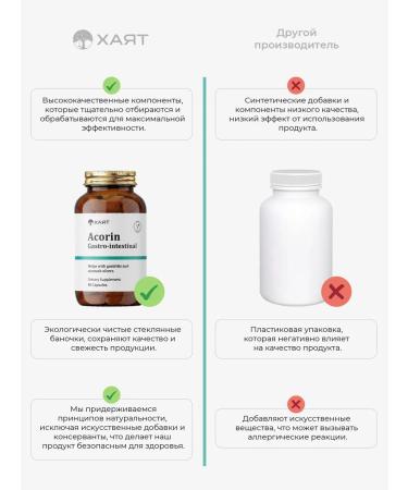 HAYAT Acorin for the stomach and intestines - Buy Online on GoSupps.com