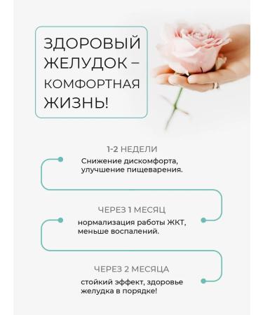 HAYAT Acorin for the stomach and intestines - Buy Online on GoSupps.com