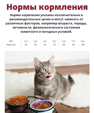 Trainer. Dry food for adult cats - Buy Online on GoSupps.com