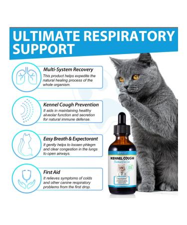 Oimmal Vitamins from coughing sneezing and colds for cats - Buy Online on GoSupps.com