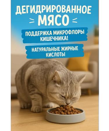 Meat Garden Dry food for cats 1.5 kg holistic - Buy Online on GoSupps.com