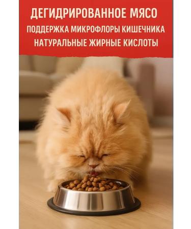 Meat Garden Dry food 1.5 kg for home cats holistic - Buy Online on GoSupps.com