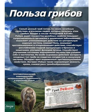 Danila Travnik Reishi mushroom dried natural altai tea - Buy Online on GoSupps.com