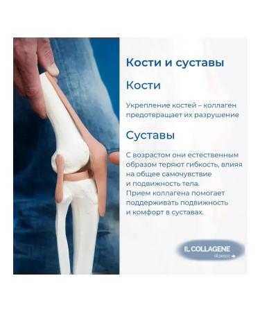 Fish collagen in sticks - Buy Online on GoSupps.com