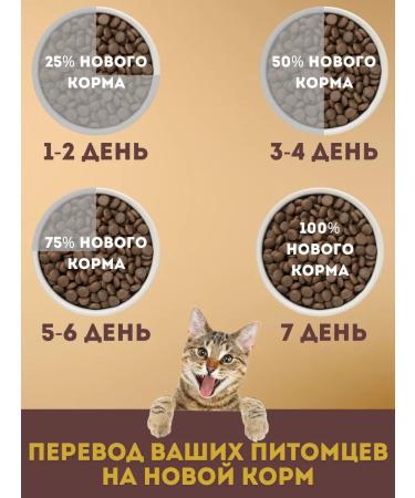 SECRET FOR PETS Dry food for the fullness of cats 8 kg - Buy Online on GoSupps.com