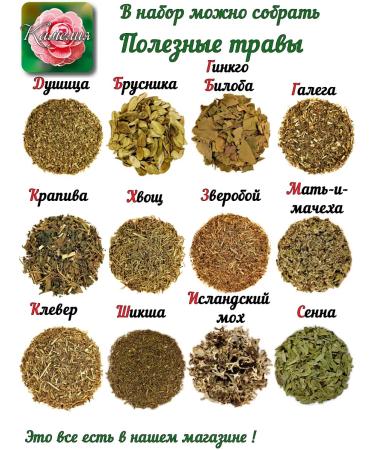 Camellia Tea Company Sage - Buy Online on GoSupps.com