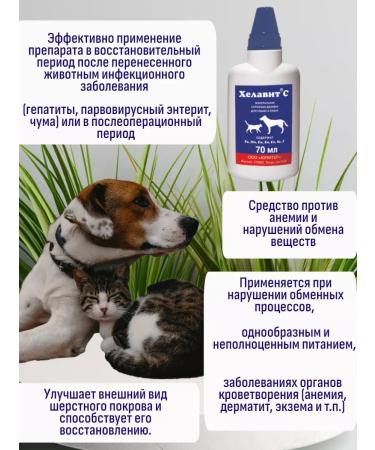 Helavit Vitamins for cats and dogs from wool loss 3UP - Buy Online on GoSupps.com