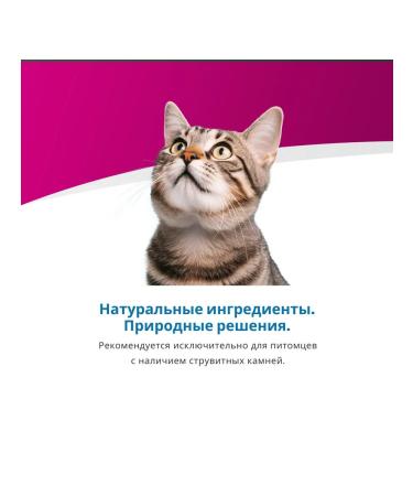 Farmina Vet Life for cats struggle 85 g 3 pcs - Buy Online on GoSupps.com