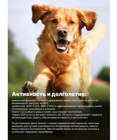 Farmina Therapeutic for the gastrointestinal tract for dogs 300g 6pcs GastroinTestinal Vetlife - Buy Online on GoSupps.com