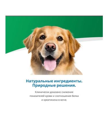 Farmina Vet Life Renal 300g 6pcs for dogs for kidney diseases - Buy Online on GoSupps.com