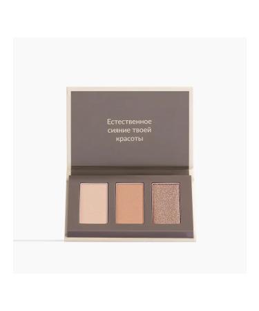 AVON Palette Feature Pure Makeup