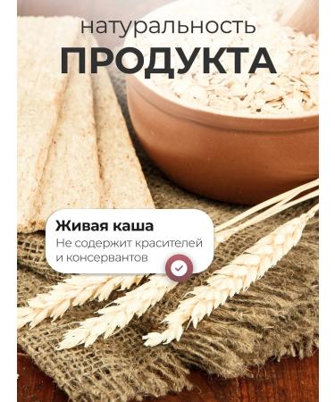 Honey and Jam Porridge 6 whole -grain cereals with seedlings 300 grams - Buy Online on GoSupps.com