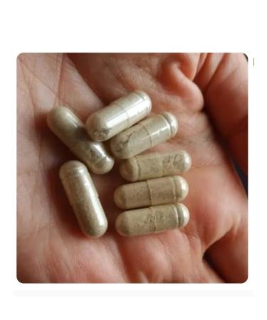 Kyolic oregano extract - Buy Online on GoSupps.com