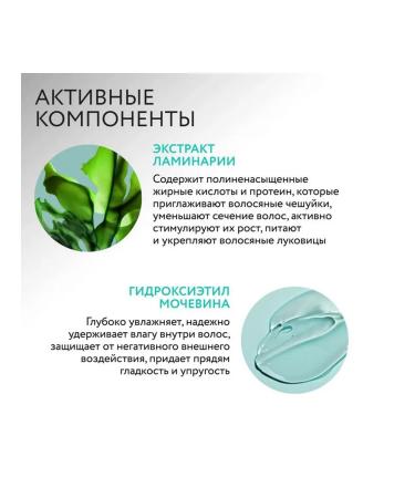 Ollin Professional Hair shampoo with kelp extract 1l - Buy Online on GoSupps.com