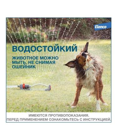 Elanco Forethrheast collapse from ticks and fleas for dogs up to 8 kg 38 cm - Buy Online on GoSupps.com