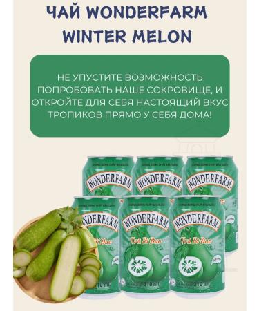 Vinut WinDerfarm winter melon drink 310 ml x 6pcs - Buy Online on GoSupps.com