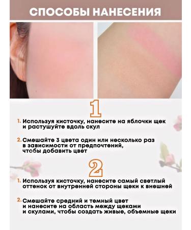 TOO COOL FOR SCHOOL Korean peach blossom for the face Artclass by Rodin - Buy Online on GoSupps.com