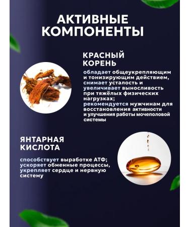 Add Altai Beaver stream of the strength of a man in a box - Buy Online on GoSupps.com