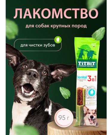 A treat with mint for dogs of large rocks 95 g