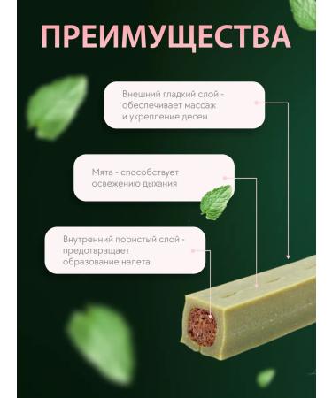 A treat with mint for dogs of large rocks 95 g - Buy Online on GoSupps.com