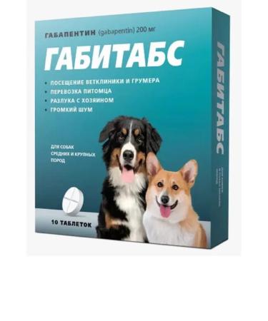 Apicenna Gabitabs for dogs of medium and large breeds 200 mg 10 tab - Buy Online on GoSupps.com