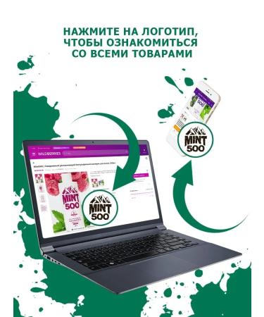 Mint500 Moisturizing shower gel with menthol 250ml - Buy Online on GoSupps.com