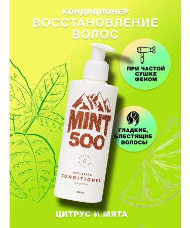 Mint500 Restoring hair air conditioner 250 ml