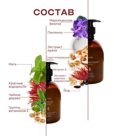 AL SHARAT Set of seborrheal shampoo and balm -Contractor - Buy Online on GoSupps.com