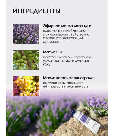 L'Occitane Hand cream moisturizing lavender 30 ml - Buy Online on GoSupps.com