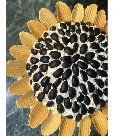 DON SHELLDON Nutual chips without gluten sour cream onions 50 g x 2 pcs - Buy Online on GoSupps.com