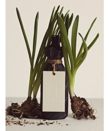 Moisturizing body cream Corpus - Buy Online on GoSupps.com