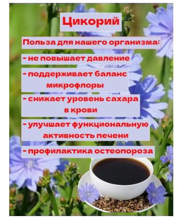 Health in every home Tsikoria Health Petrovsky breeding 100g - Buy Online on GoSupps.com