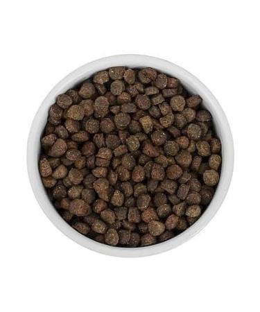 SAVITA Bezernary food for sterilized cats 5 kg - Buy Online on GoSupps.com