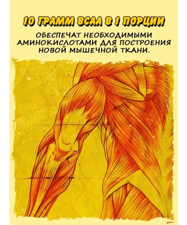 Big Bang VSAA BCAA with a limon taste 200 g - Buy Online on GoSupps.com