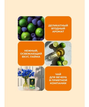 CURTIS Green tea "Sweet Fusion" 25 Sashets - Buy Online on GoSupps.com