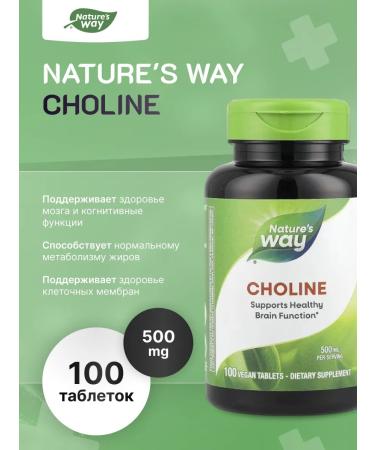 Nature's Way Choline 500 Mg - choline 100 tablets
