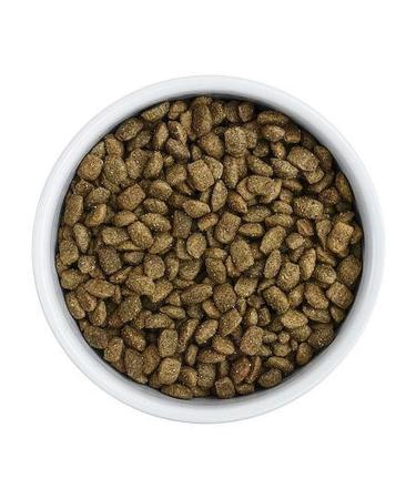 FLORIDA Gastrointestinal dry food for cats 1.5 kg - Buy Online on GoSupps.com