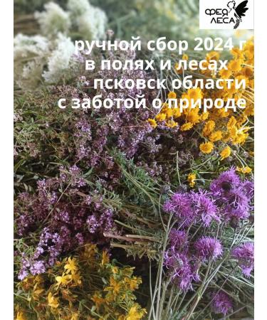 FOREST FAIRY IVAN TO FERMENTED BREALLISTROVA with oregano and berries - Buy Online on GoSupps.com