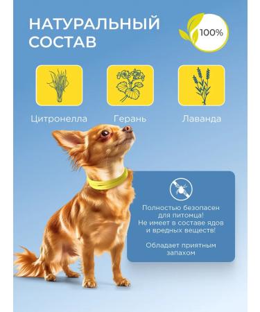 Good Dog&Cat Collar from fleas and ticks for cats and dogs 35cm yellow - Buy Online on GoSupps.com