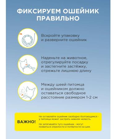 Good Dog&Cat Collar from fleas and ticks for cats and dogs 35cm yellow - Buy Online on GoSupps.com