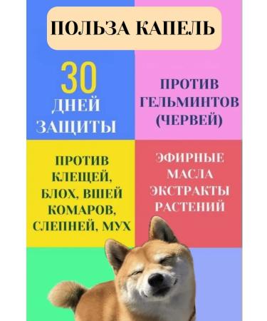 VAKA Drops from ticks and fleas for puppies 2 - Buy Online on GoSupps.com